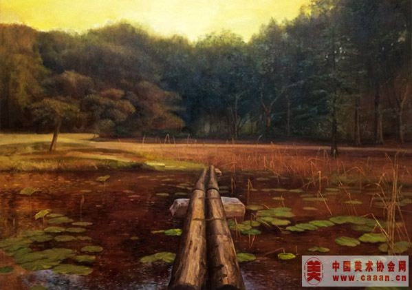 �����ĺ������ߡ�